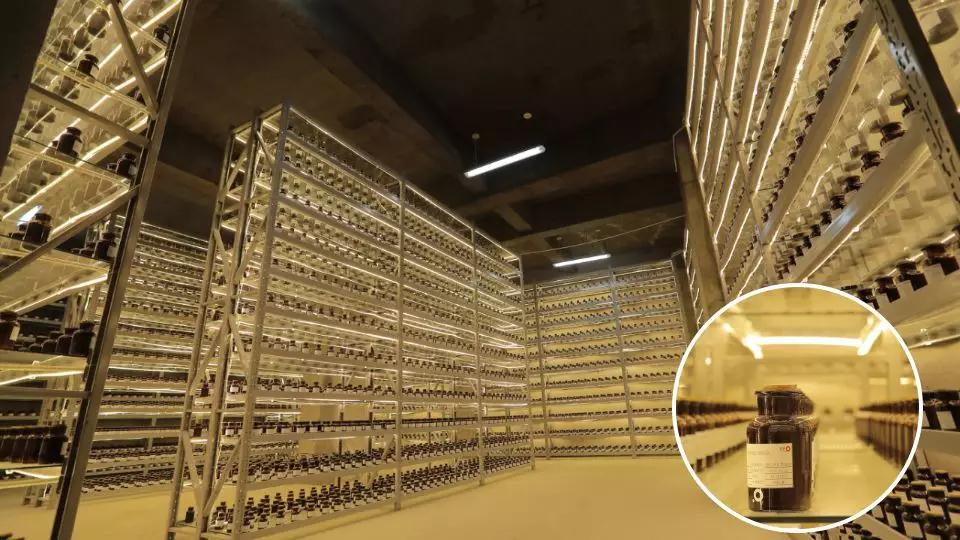 20190613/46398651b12a72d5631400751ac79477.jpg 46398651b12a72d5631400751ac79477.jpg