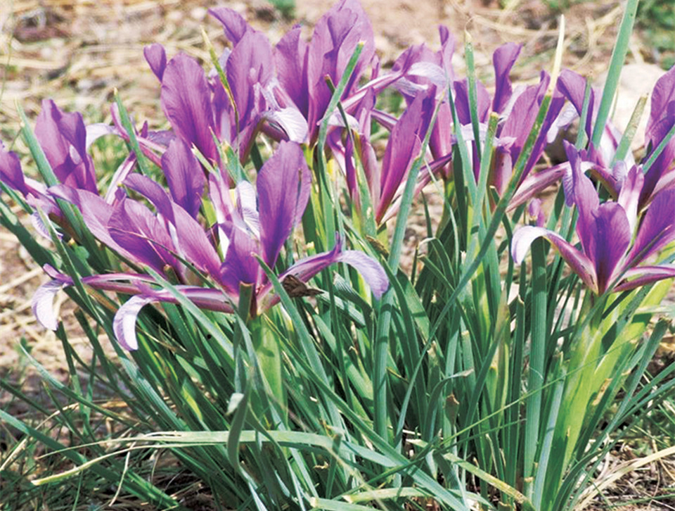 20190613/7cf19ff84a6dc5738730131d2995781e.jpg 7cf19ff84a6dc5738730131d2995781e.jpg