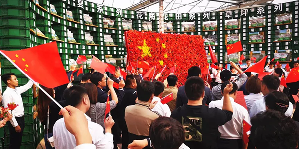 20191012/11577199fc8447e0ca206231cb6e0a3a.png 11577199fc8447e0ca206231cb6e0a3a.png