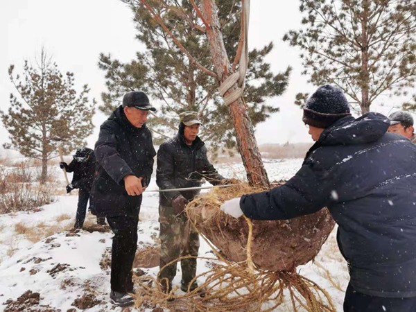 20191210/e155fd14ee07101349d5848489b89ddb.png e155fd14ee07101349d5848489b89ddb.png