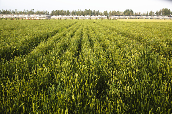 20191213/7805716b9170fa8766c36ed92e193e80.jpg 7805716b9170fa8766c36ed92e193e80.jpg