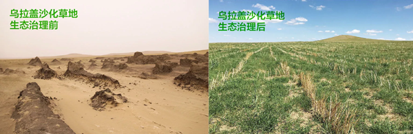 20200313/c3cce3df6f6e3111eb8f237cca7113c1.png c3cce3df6f6e3111eb8f237cca7113c1.png