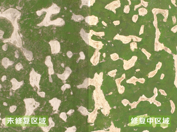 20200617/b393dc9c08862845a10d16c99a27ca1d.png b393dc9c08862845a10d16c99a27ca1d.png