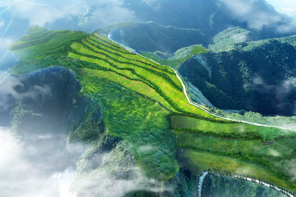 20200629/d9bdf7827e2d8723a2ba28b7bef1fb89.jpg d9bdf7827e2d8723a2ba28b7bef1fb89.jpg