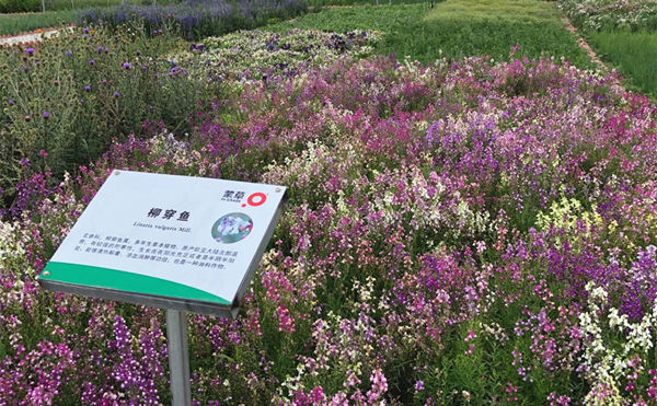 20200730/5c12faf989f95fa28a9d9d7a7ddfe654.jpg 5c12faf989f95fa28a9d9d7a7ddfe654.jpg