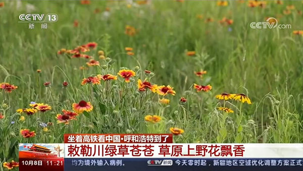 20201016/cb91ff0f14875e1c1ff9823bf11bcfa3.jpg cb91ff0f14875e1c1ff9823bf11bcfa3.jpg